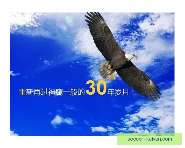 足球励志案例呈现球员职业生涯的蜕变与坚持精神