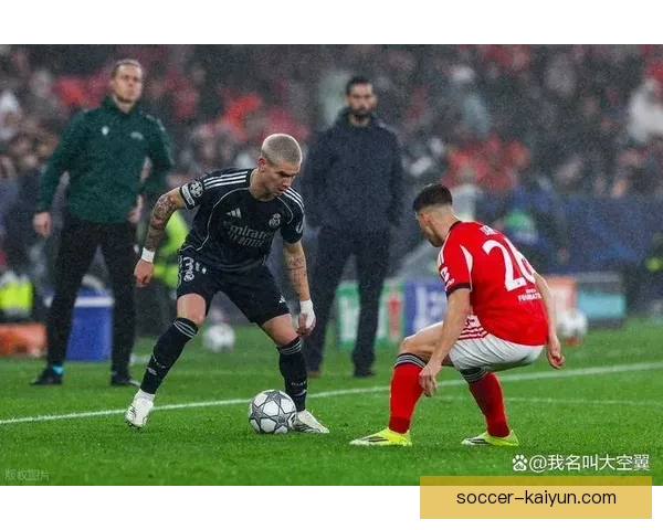 本菲卡战术执行表现稳健，攻防转换效率持续提升